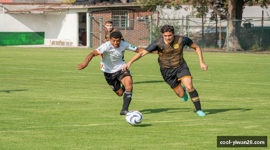 解读亿万28注册登录